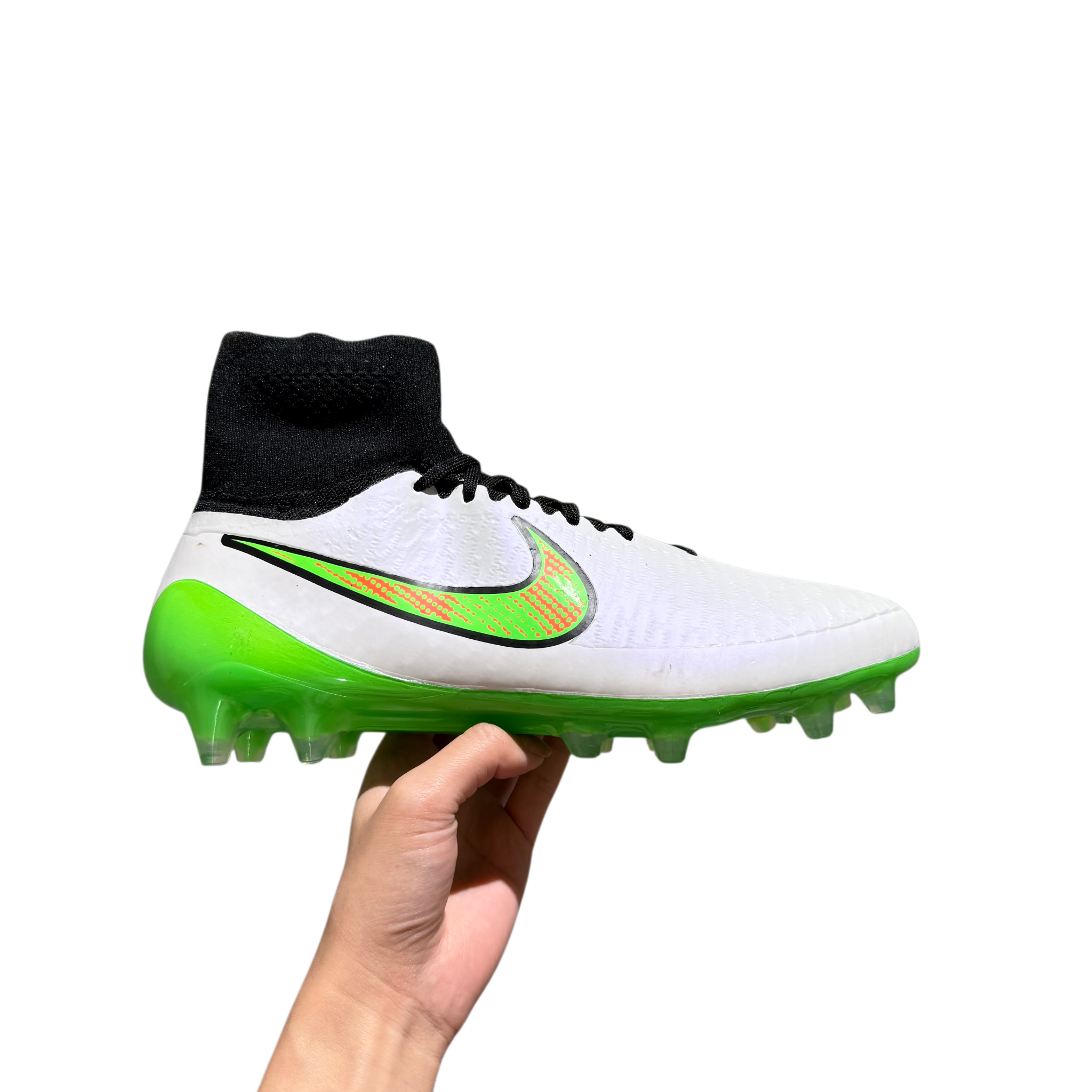 MAGISTA 04