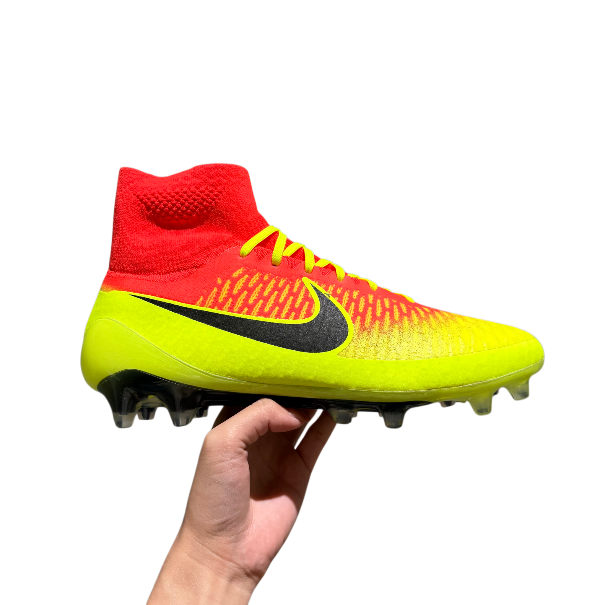 MAGISTA 05