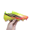F50 019
